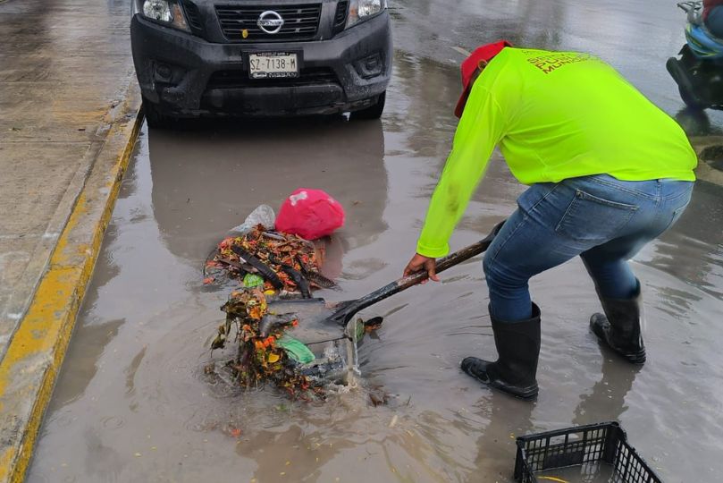 uploads/6/32/01 (455).Jpg